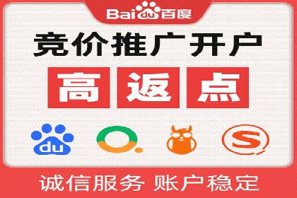 SEO技术突破：某网站流量暴增的背后故事